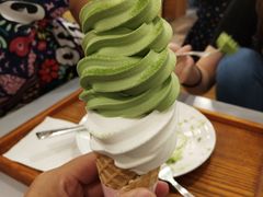 -王守财小山園