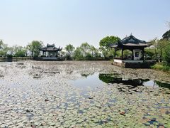 -无锡蠡湖国家湿地公园-蠡园