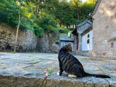 -崂山九水游览区