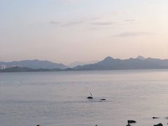 -深圳湾公园(南山区)
