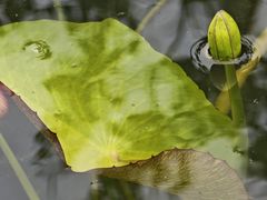 -云溪植物园