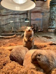 -Zoolung Zoolung动物主题公园(海信广场店)