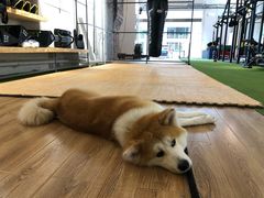 -YCHL Studios健身工作室(市二宫店)