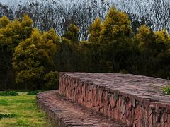 -白鹭湾湿地公园