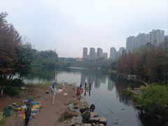 -重庆彩云湖湿地公园
