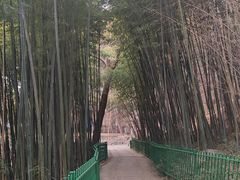 -四门塔风景区