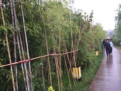 -白鹿原影视城