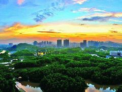 -大亚湾红树林城市湿地公园