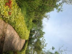 涵田度假村酒店-天目湖涵田度假村