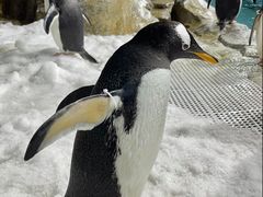 -成都浩海立方海洋公园