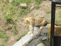 -大连森林动物园