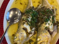 -圆苑(金茂店)