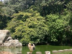 -昆明动物园