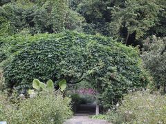 -广西壮族自治区药用植物园