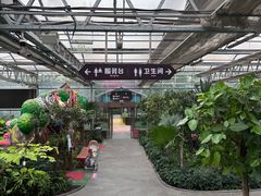 -南宫五洲植物乐园