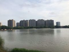 -南翔镇银翔湖公园