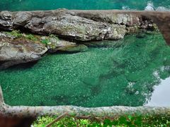 -石台牯牛降景区
