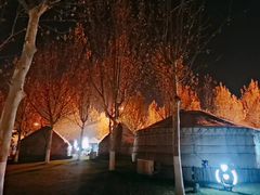 -九十九顶毡房(阜石路店)