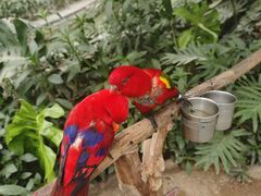 -南宫五洲植物乐园