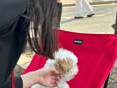 -吉林大学(南岭校区)