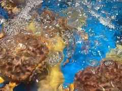 -徐记海鲜(大雁塔|金都店)