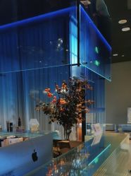 -蒂伊·品质医美