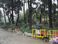 -叶家花园