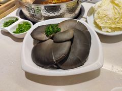 鲜平菇-浩爷羊蝎子火锅(双榆树店)