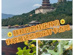 -颐和园