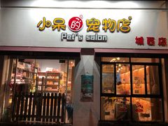 -小呆的宠物店·宠物售卖·宠物寄养(城西店)