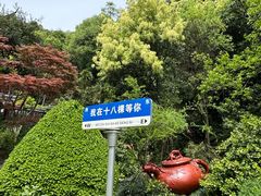 -十八棵（老龙井）御茶园(老龙井店)