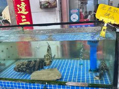 -滑记海鲜饭店·老字号(海鲜街店)