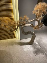 -太乙康·中式美养空间