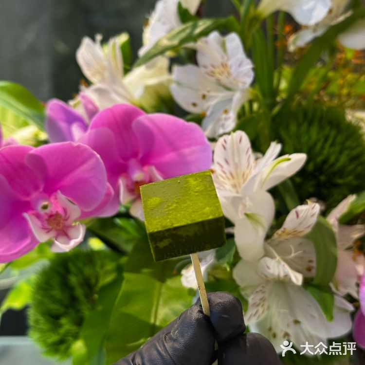 🍵抹茶控集合！九十葉终于杀到万象城啦‼️