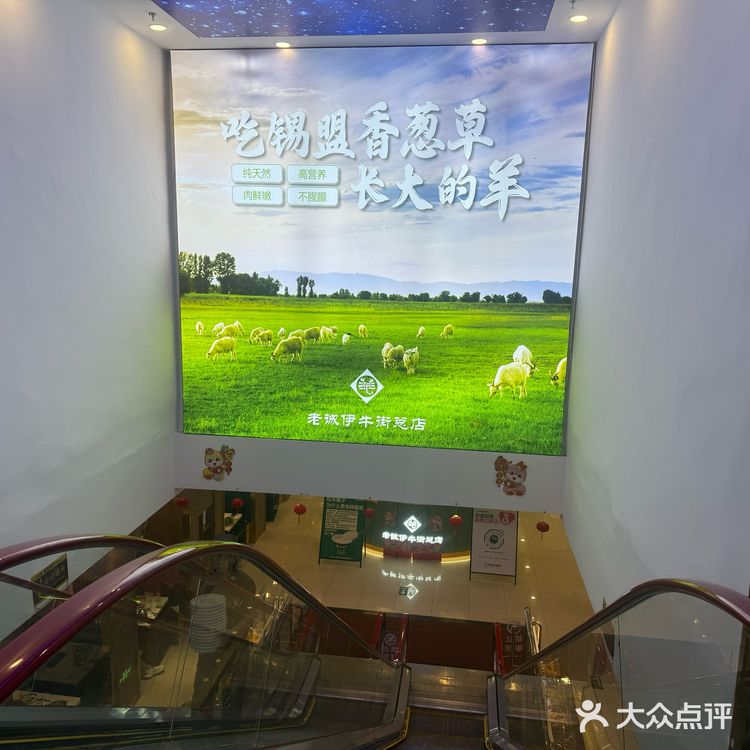 烤羊肉串 羊肉串的诱惑~