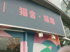 门面-飞行喵MR PILOT|猫舍·猫咖(静安大融城店)