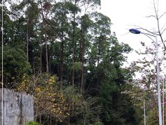 -火炉山森林公园