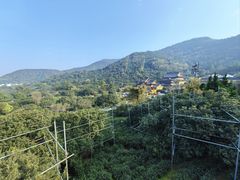 -树山生态村