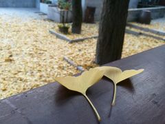 -雨花胜境