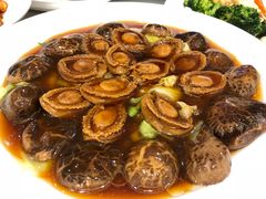 -海港酒家(上水新丰店)