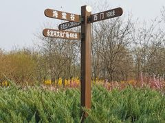 -永定河休闲森林公园