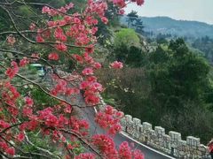 -木兰云雾山
