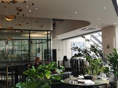 大堂-大树餐厅(红旗街万达店)