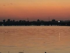 -丁香湖公园