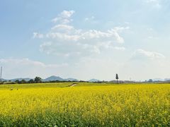 -光明小镇欢乐田园