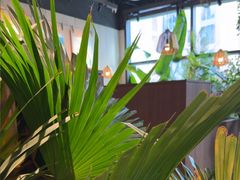 -大头椰·椰子鸡火锅(南宁万象城店)