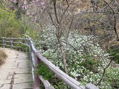 -黑龙潭风景区
