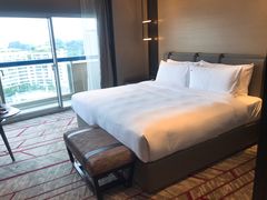 -新加坡瑞士史丹福酒店