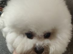 -瑞虹新天地月亮湾