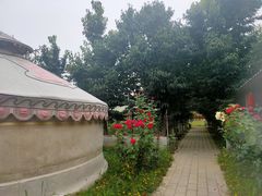 -草根堂农场